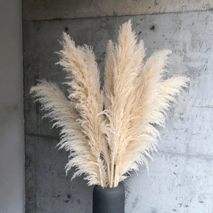 Dried Pampas Grass for Bohemian Decor