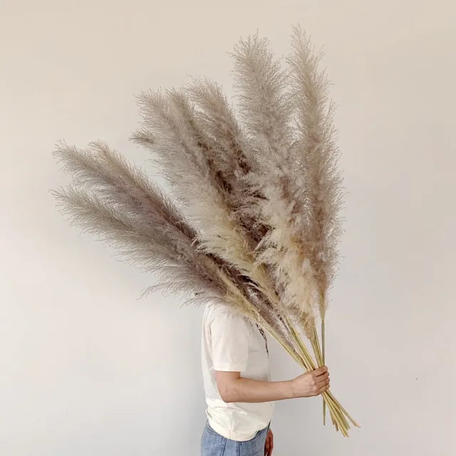 Dried Pampas Grass for Bohemian Decor