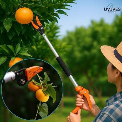 Effortless Trimming Tool for Tall Hedges