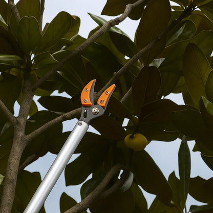 Effortless Trimming Tool for Tall Hedges