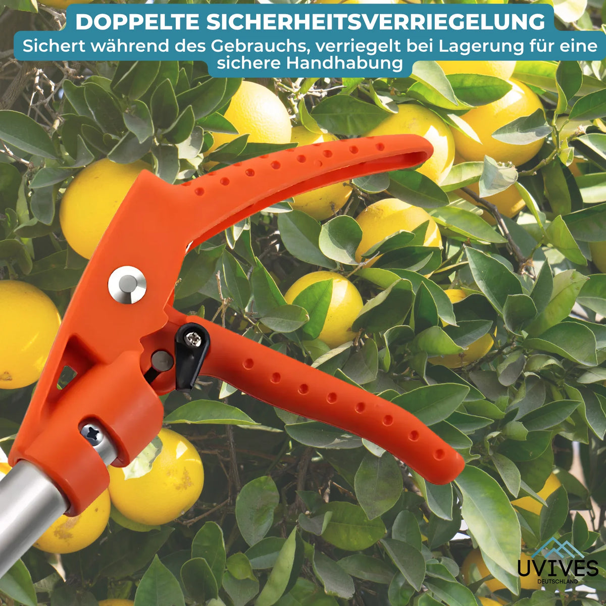 Effortless Trimming Tool for Tall Hedges