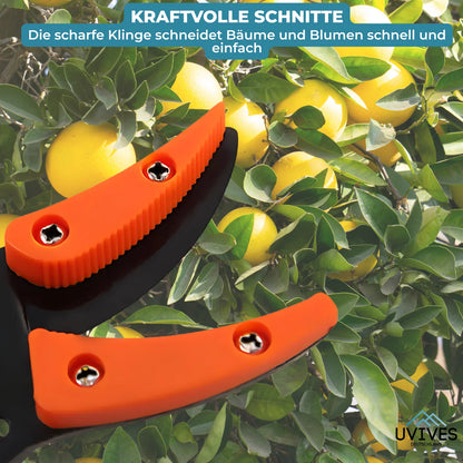 Effortless Trimming Tool for Tall Hedges