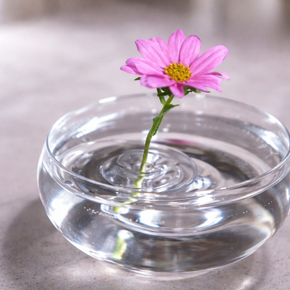Floating Flower Holder Transparent Set of 10