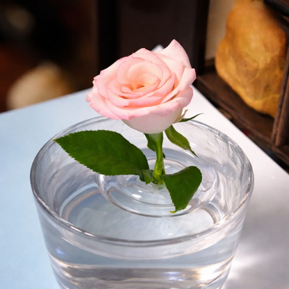 Floating Flower Holder Transparent Set of 10