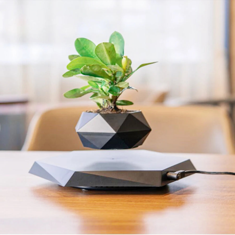 Floating Planter 360° Rotating Lightweight & Eco-Friendly