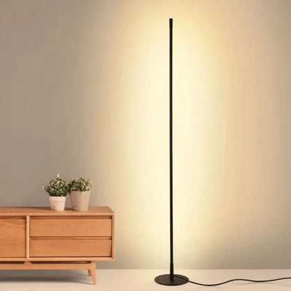 Floor Lamp Slim Dimmable Warm White LED Metal Body