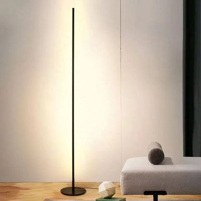 Floor Lamp Slim Dimmable Warm White LED Metal Body