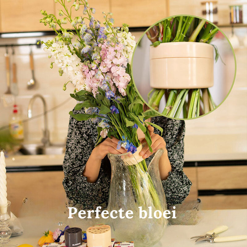 Flower Stem Holder Perforated Grid Set of 2
