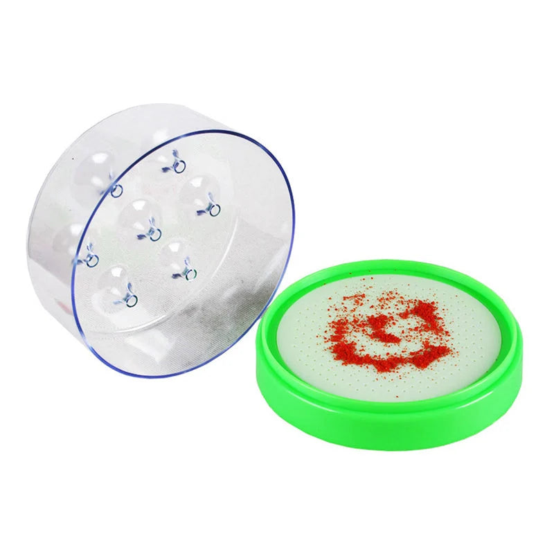 Fly Trap 7-Hole One-Way Funnel Battery-Free & Chemical-Free