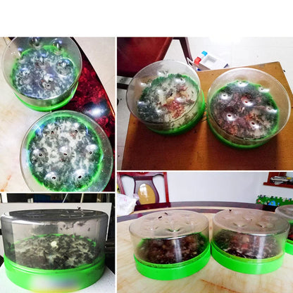 Fly Trap 7-Hole One-Way Funnel Battery-Free & Chemical-Free