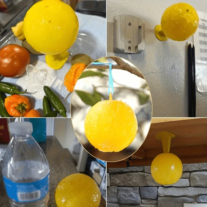 Fly Trap Battery-Free Reusable Indoor Outdoor