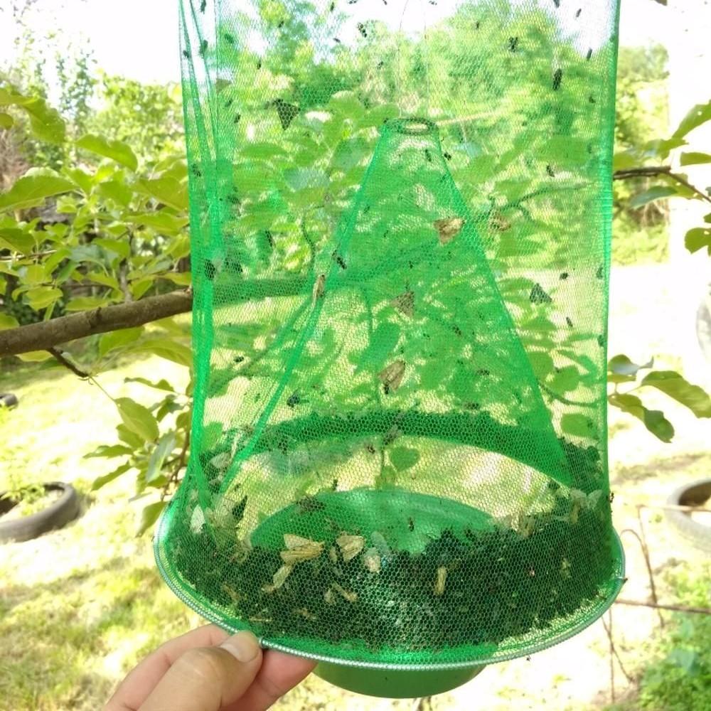 Fly Trap Wire Cage Non-Toxic High Capacity