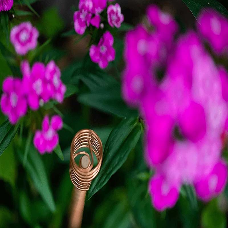 Garden Electroculture Antennas Pure Copper Spiral Set of 5