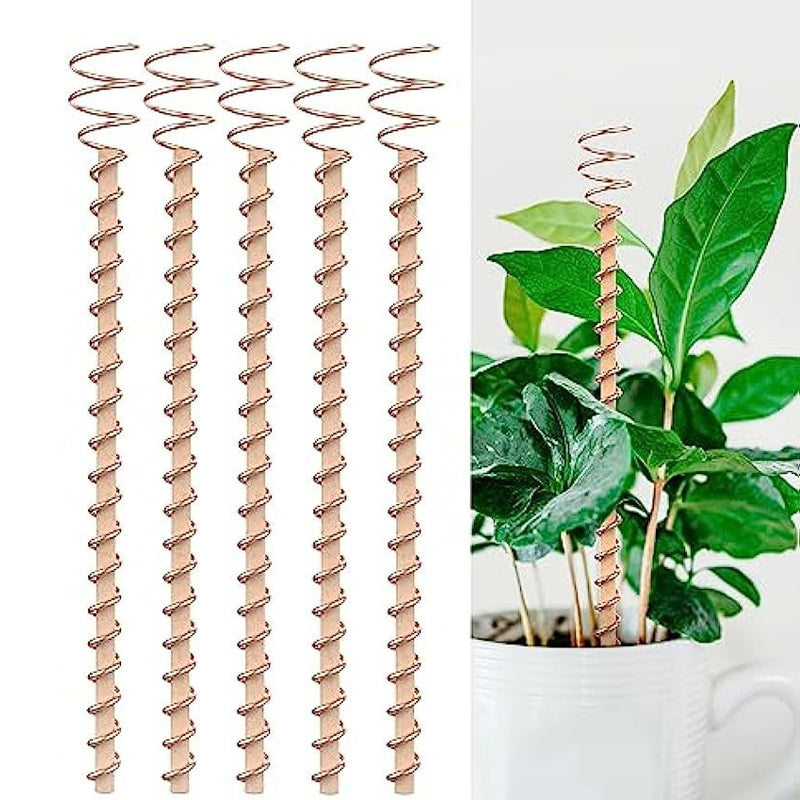 Garden Plant Stakes Pure Copper Set of 5