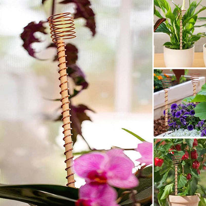 Garden Plant Stakes Pure Copper Set of 5