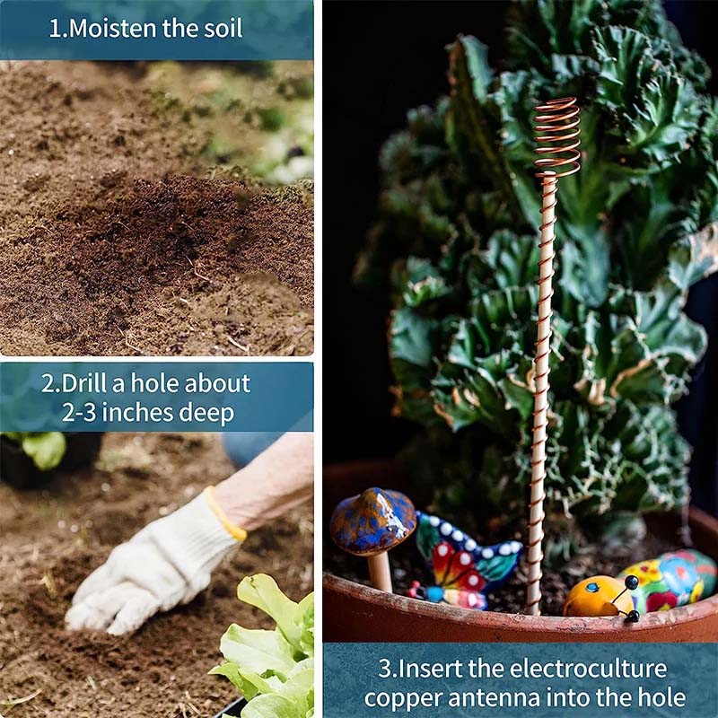 Garden Plant Stakes Pure Copper Set of 5