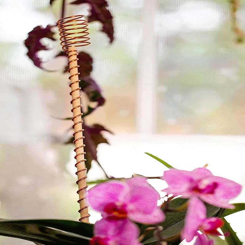 Garden Plant Stakes Pure Copper Set of 5