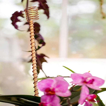 Garden Plant Stakes Pure Copper Set of 5