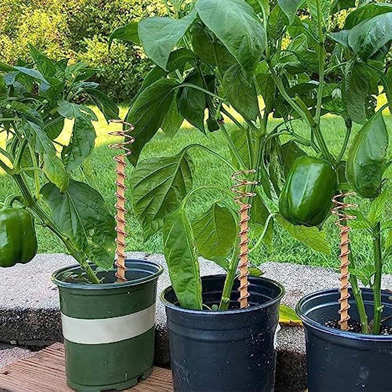 Garden Plant Stakes Pure Copper Set of 5