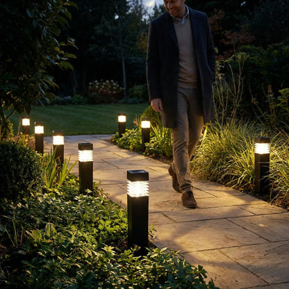 Garden Stake Lights Solar Powered LED Automatic Dusk Activation