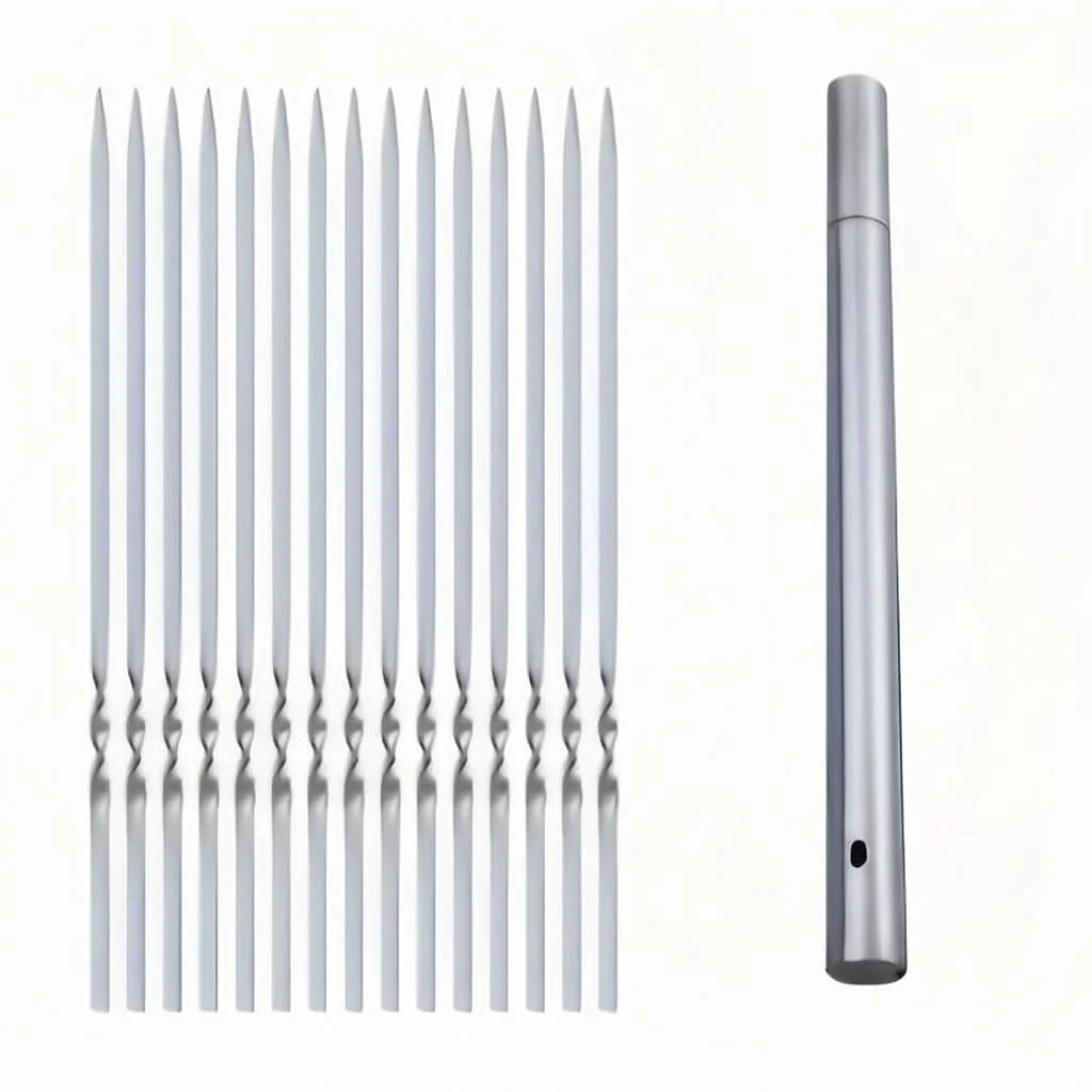 Grill Skewer Set Stainless Steel Protective Storage Tube Set of 20