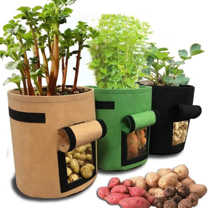 Grow Bag Breathable Nonwoven Side Harvest Flap