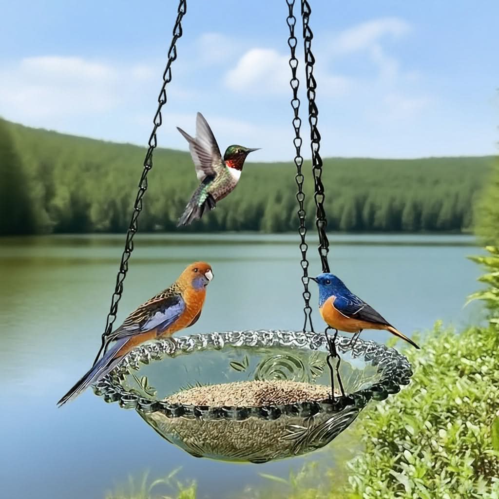 Hanging Bird Feeder Double Bowl Weather-Resistant Polypropylene With Chain