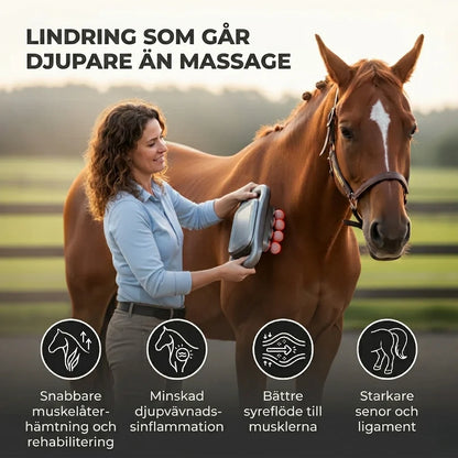 Horse Massage Device Red Light & Soothing Warmth
