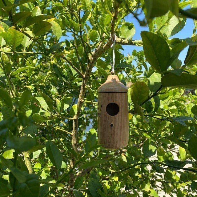 Hummingbird Feeder Handcrafted Wood Weather-Resistant 2-Inch Entry Hole