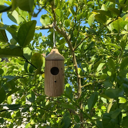 Hummingbird Nesting House Weather-Resistant Resin Compact Design