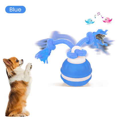 Interactive Cat Ball Self-Rolling LED & Bird Sounds