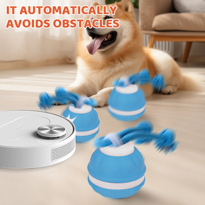 Interactive Cat Ball Self-Rolling LED & Bird Sounds