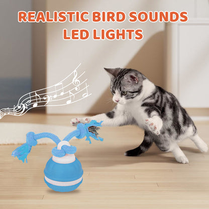 Interactive Cat Ball Self-Rolling LED & Bird Sounds