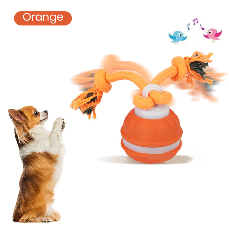 Interactive Cat Ball Self-Rolling LED & Bird Sounds