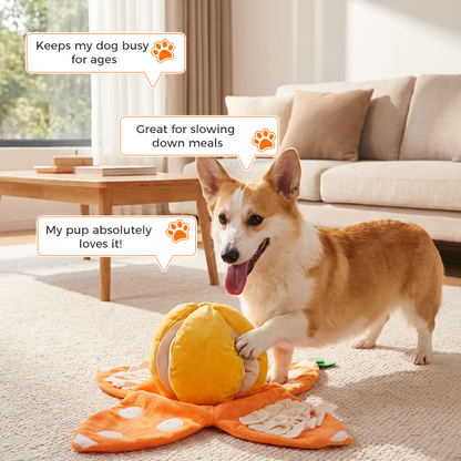 Interactive Dog Toy Treat Puzzle Squeaker & Crinkle