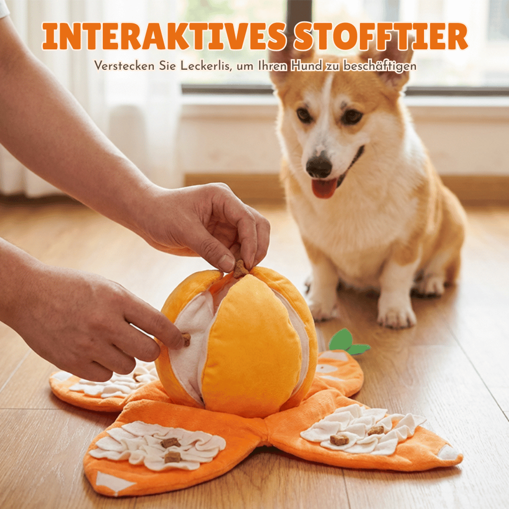 Interactive Dog Toy Treat Puzzle Squeaker & Crinkle