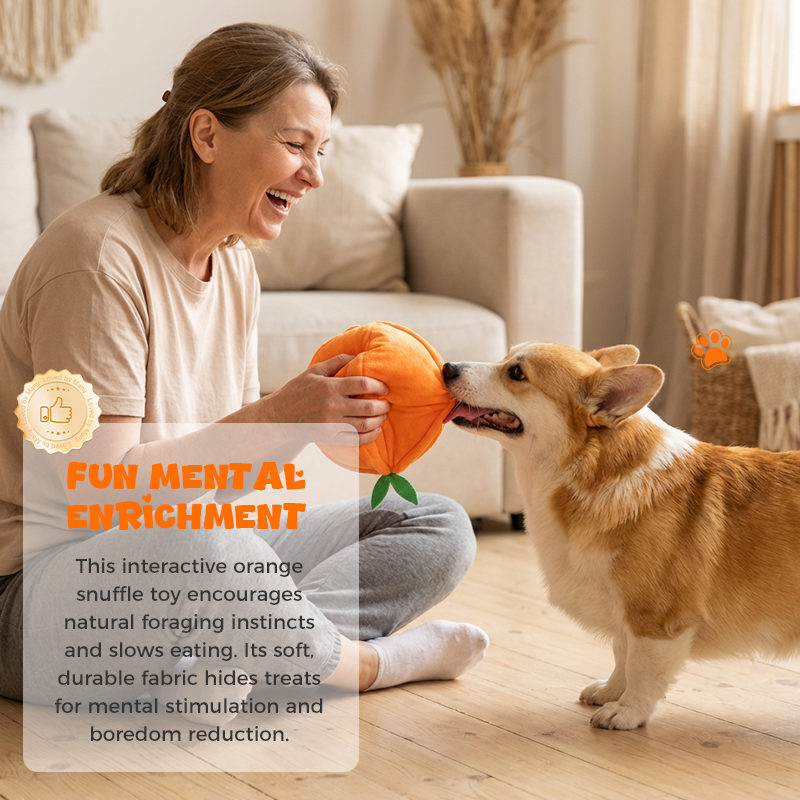 Interactive Dog Toy Treat Puzzle Squeaker & Crinkle