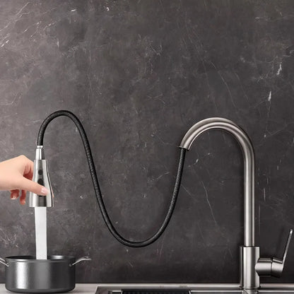 Kitchen Faucet Pull-Out Sprayer Stainless Steel 3 Spray Modes