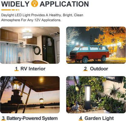 LED Globe Bulb 12V 24V DC Warm White 1W Low Power