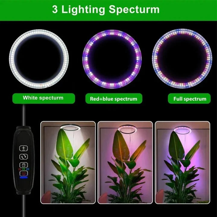 LED Grow Light Full-Spectrum Adjustable Height Built-In Timer