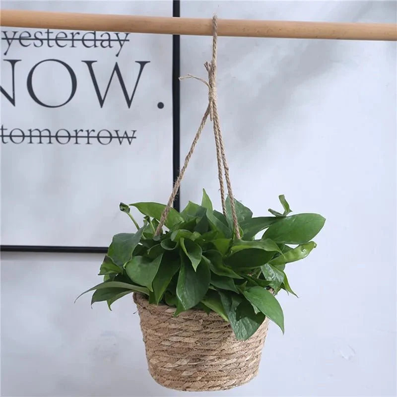 Macrame Plant Hanger Handwoven Jute & Cotton Rope