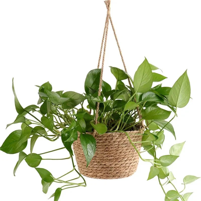 Macrame Plant Hanger Handwoven Jute & Cotton Rope