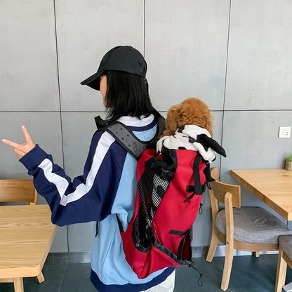 Medium Dog Backpack – Cozy Carry Bag with Safety Strap & Storage Compartments