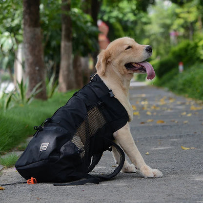 Medium Dog Backpack – Cozy Carry Bag with Safety Strap & Storage Compartments