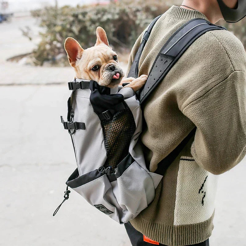 Medium Dog Backpack – Cozy Carry Bag with Safety Strap & Storage Compartments