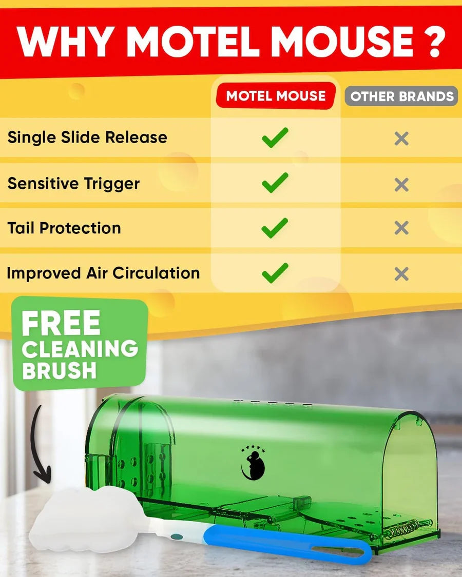 Mouse Trap Live Capture Clear Body Set of 4