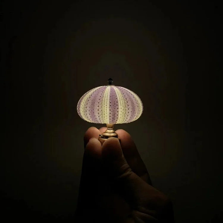 Night Light Sea Urchin Silhouette Soft Warm Glow