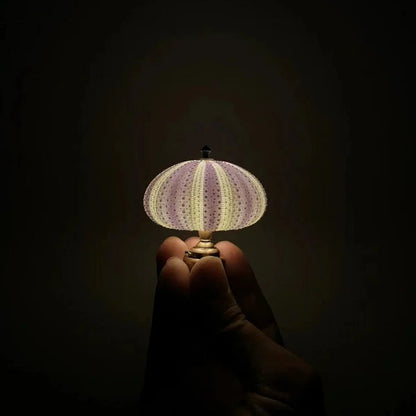 Night Light Sea Urchin Silhouette Soft Warm Glow