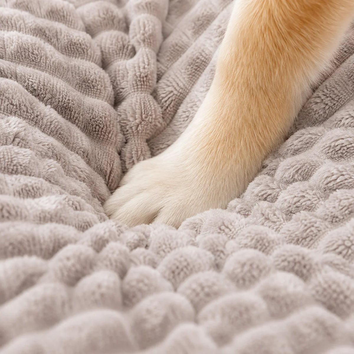 Orthopedic Dog Bed Memory Foam Washable Cover Non-Slip Base