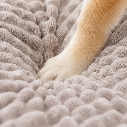 Orthopedic Dog Bed Memory Foam Washable Cover Non-Slip Base